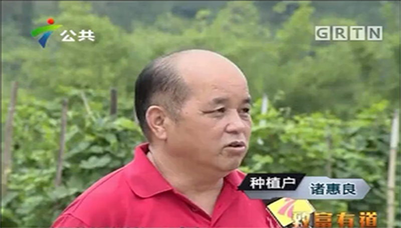 致富有道在廣東