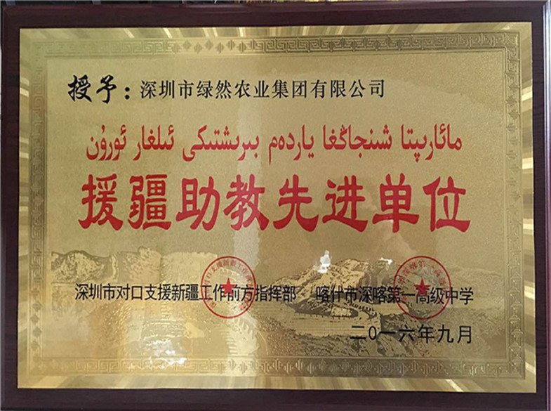 援疆助教先進(jìn)單位