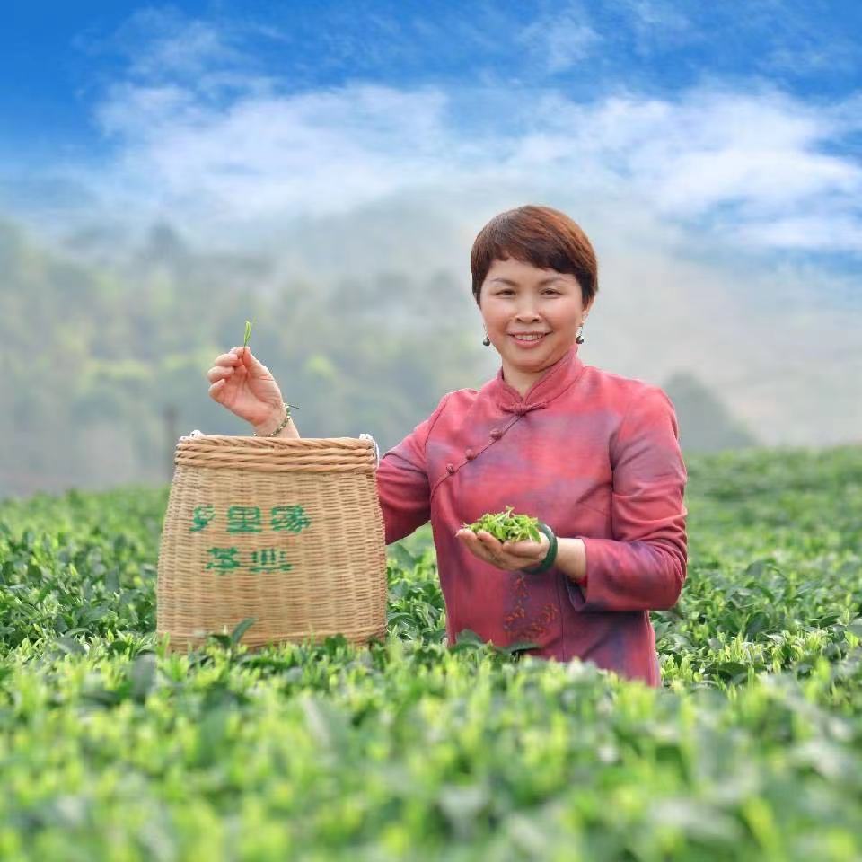 圖片